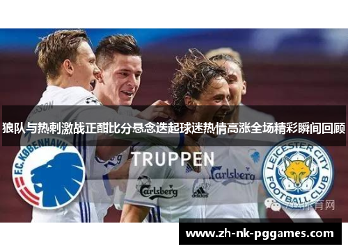 狼队与热刺激战正酣比分悬念迭起球迷热情高涨全场精彩瞬间回顾